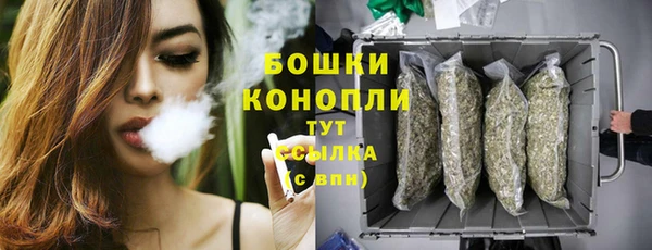 СК Покачи